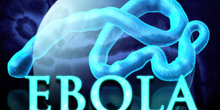 W walce z Ebolą